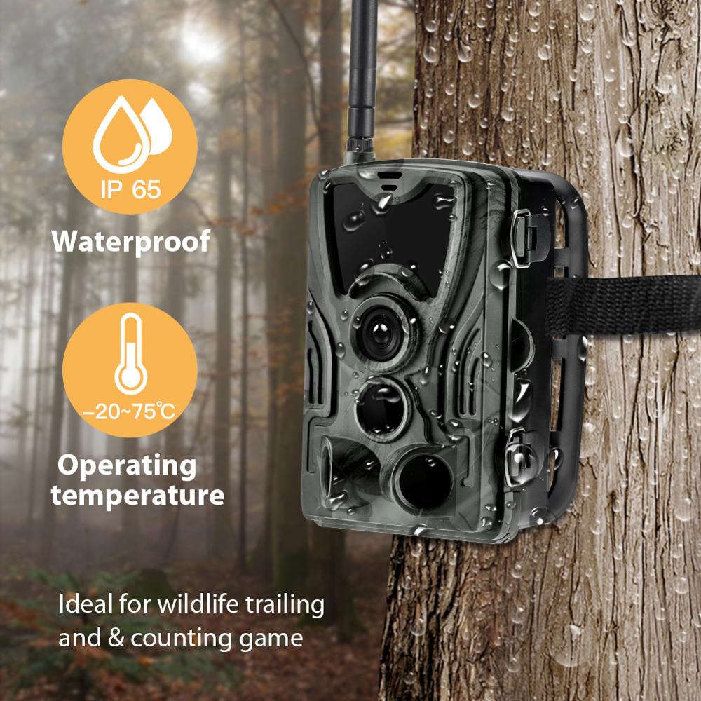 Уличная 4G HD 1080P FTP SMTP M – обзор и цена Outdoor Hunting Camera Wireless