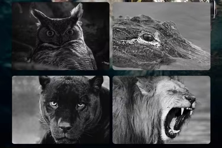 1080P Full HD ИК-камера ночног – обзор и цена Hunting Outdoors Card