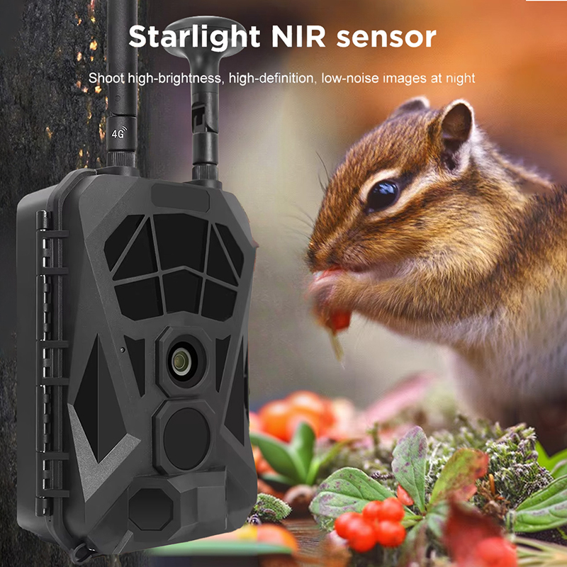 Камера следа 4G GPS Беспроводн – обзор и цена Outdoor Hunting Camera Wireless