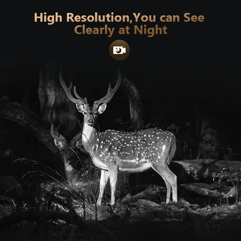 4G 4 МП наружная охотничья Тро – обзор и цена Outdoor Hunting Camera Wireless