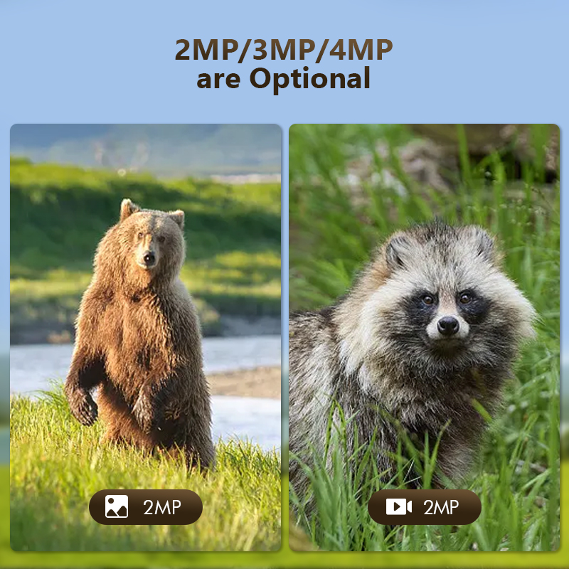 4G 4 МП наружная охотничья Тро – обзор и цена Outdoor Hunting Camera Wireless