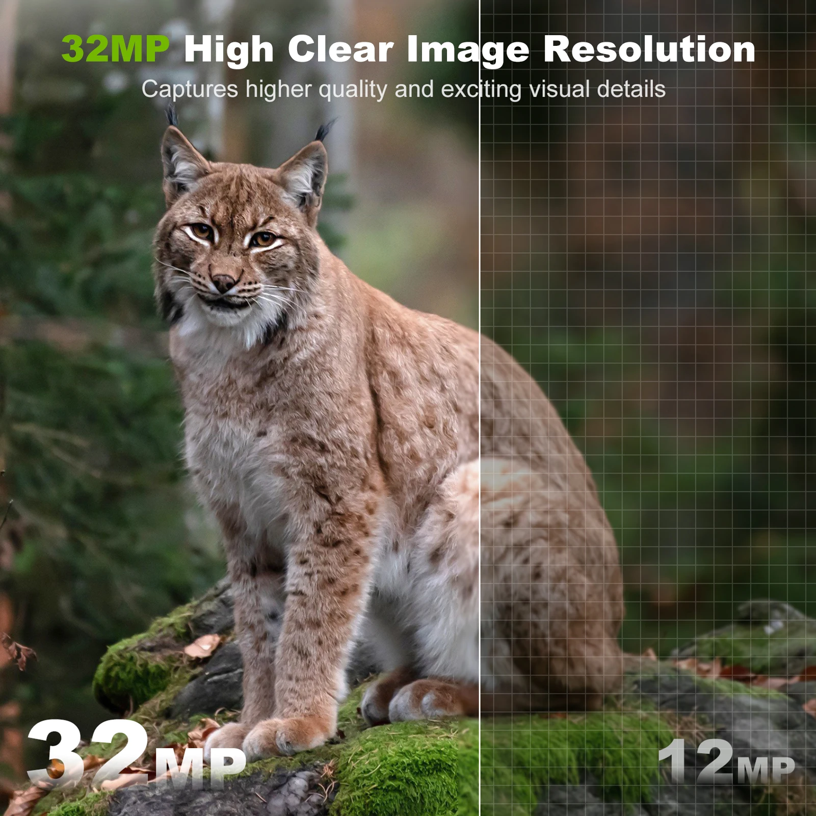 Солнечная камера, уличная бесп – обзор и цена Outdoor Hunting Camera Wireless
